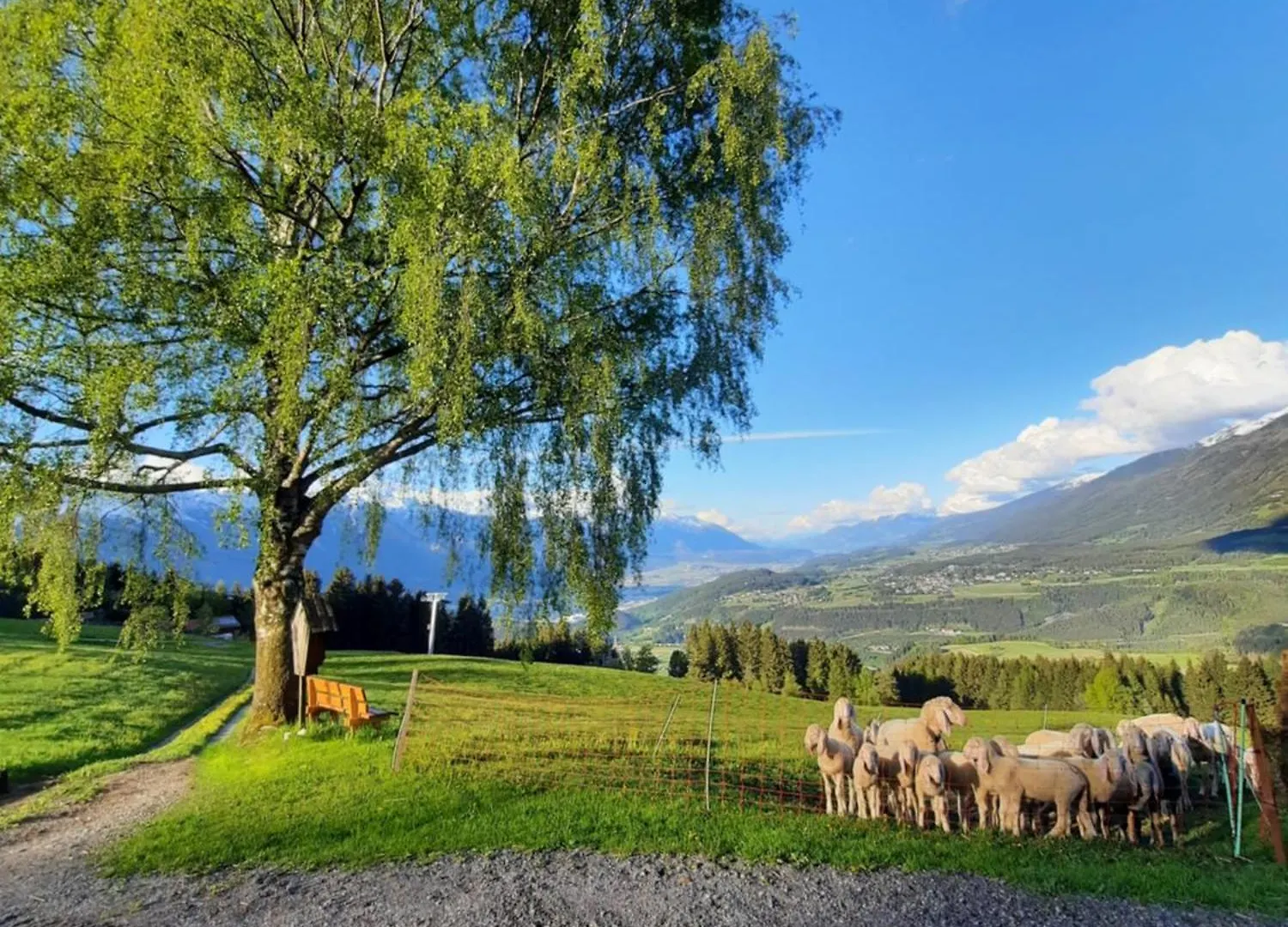 Nockhof Villa Mutters Innsbruck